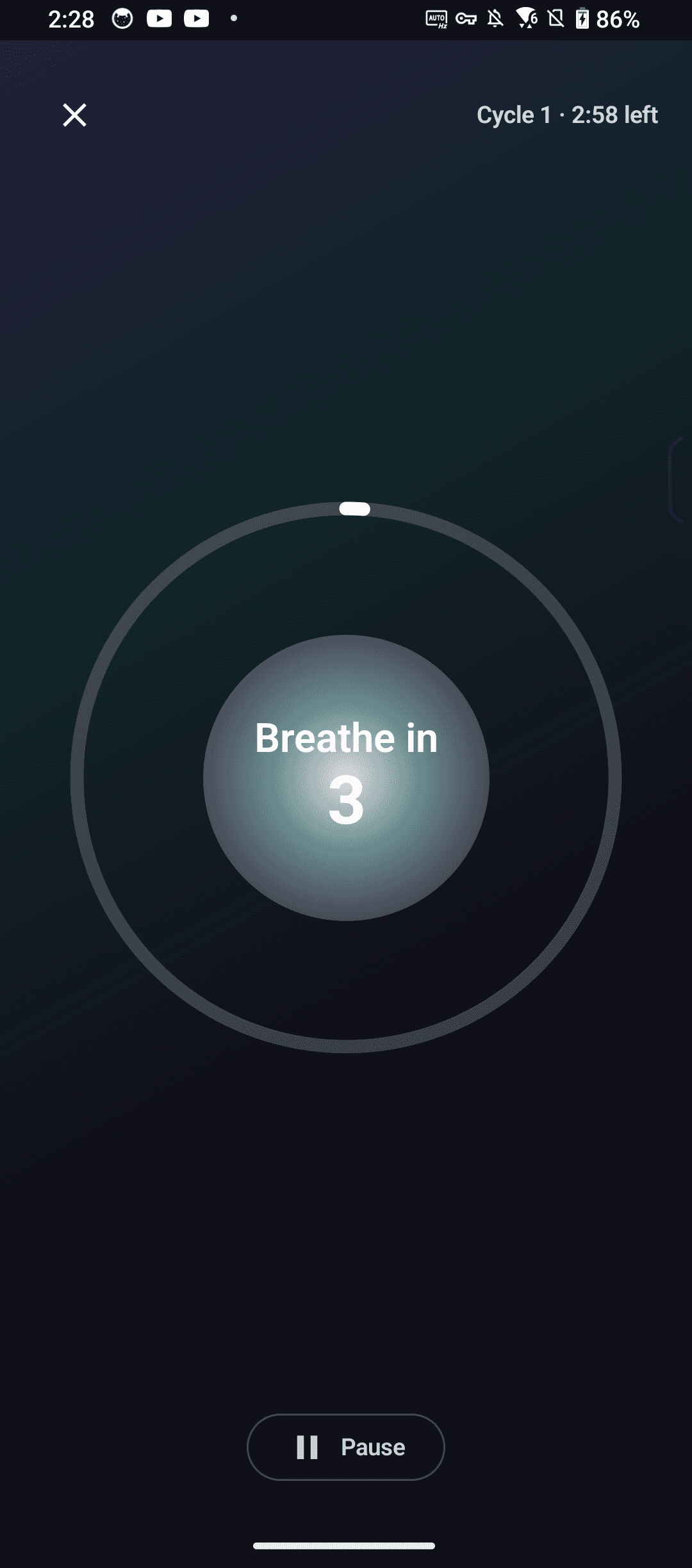 IRIQ Pulse guided breathing exercise in progress